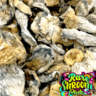 🍄 Alcabenzi (3.5g) 🍄
