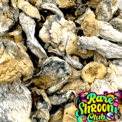 🍄 Alcabenzi (3.5g) 🍄