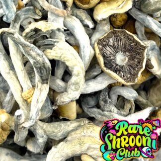 🚀Astro Exotic Mushrooms 🍄JEDI MIND FUCK (3.5g) 🍄