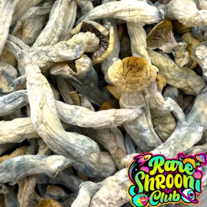 🍄PINK BUFFALO (3.5g) 🍄