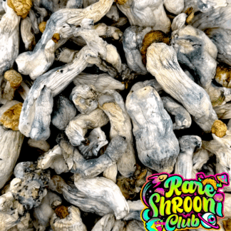 🚀Astro Exotic Mushrooms 🍄BLUE MEANIES (3.5g) 🍄