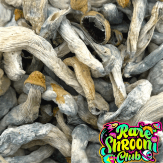 🍄PENIS ENVY 6 (3.5g) 🍄