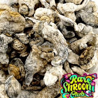 🚀ASTRO EXOTIC MUSHROOMS 🍄 BRAIN BLAST (3.5g) 🍄